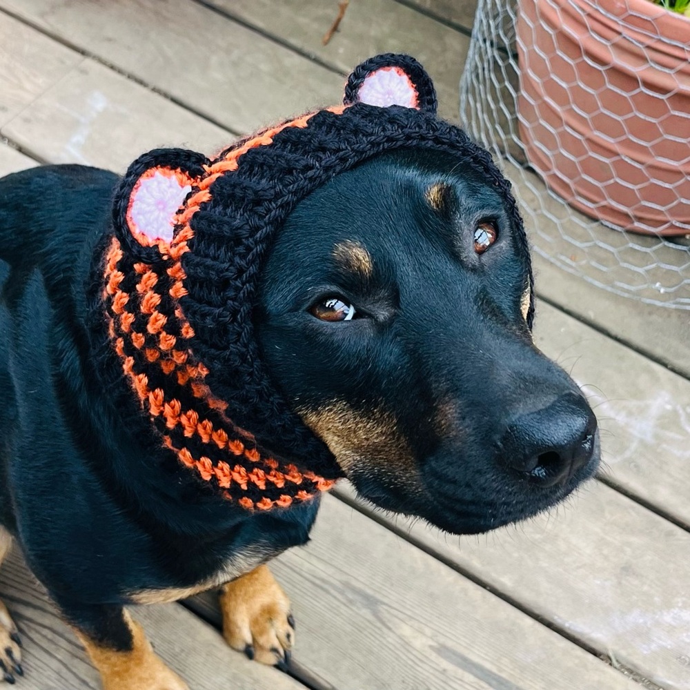 Dog Tiger Snood Cowl- 18 inch neck- Medium Dog